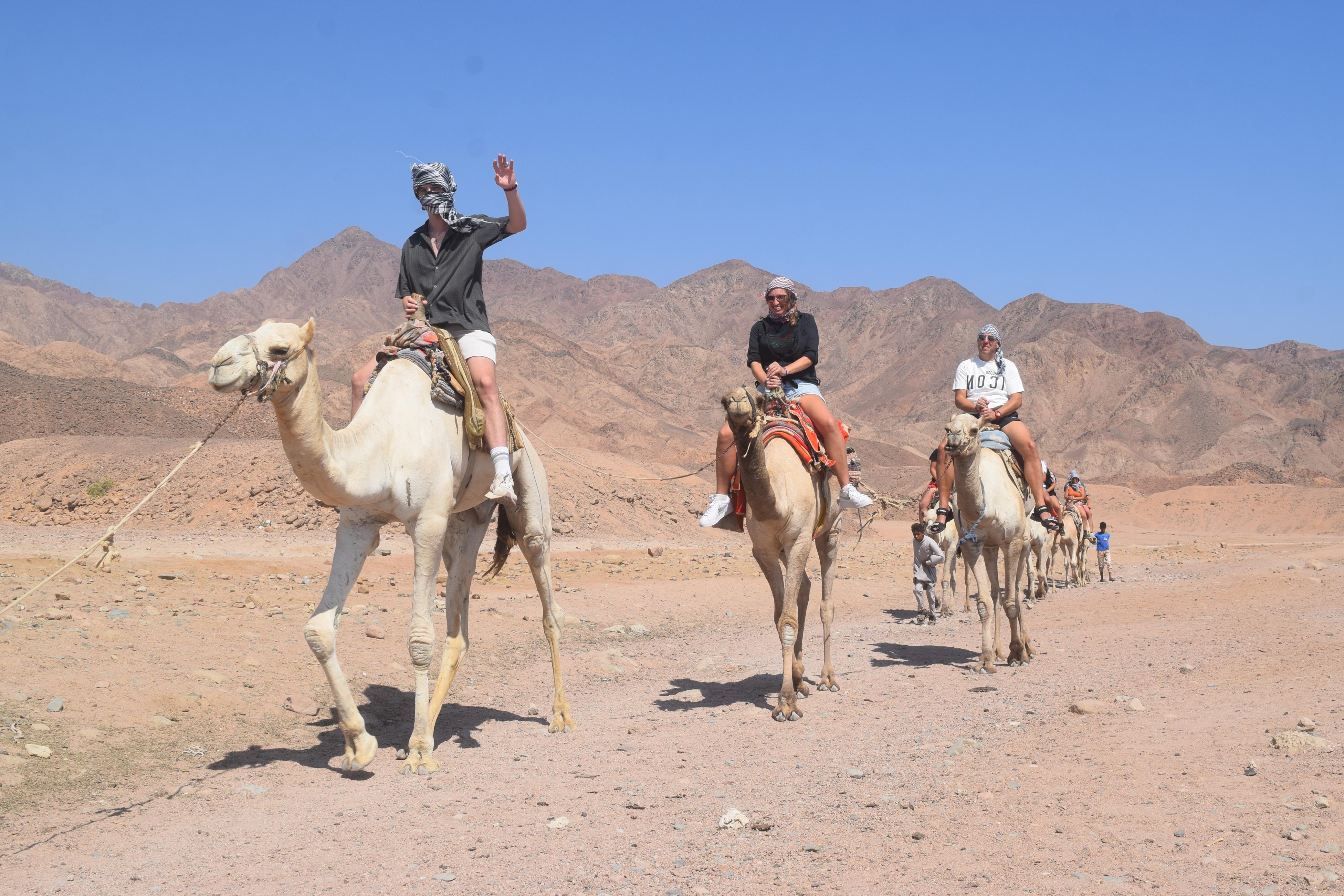 صورة الرحلة