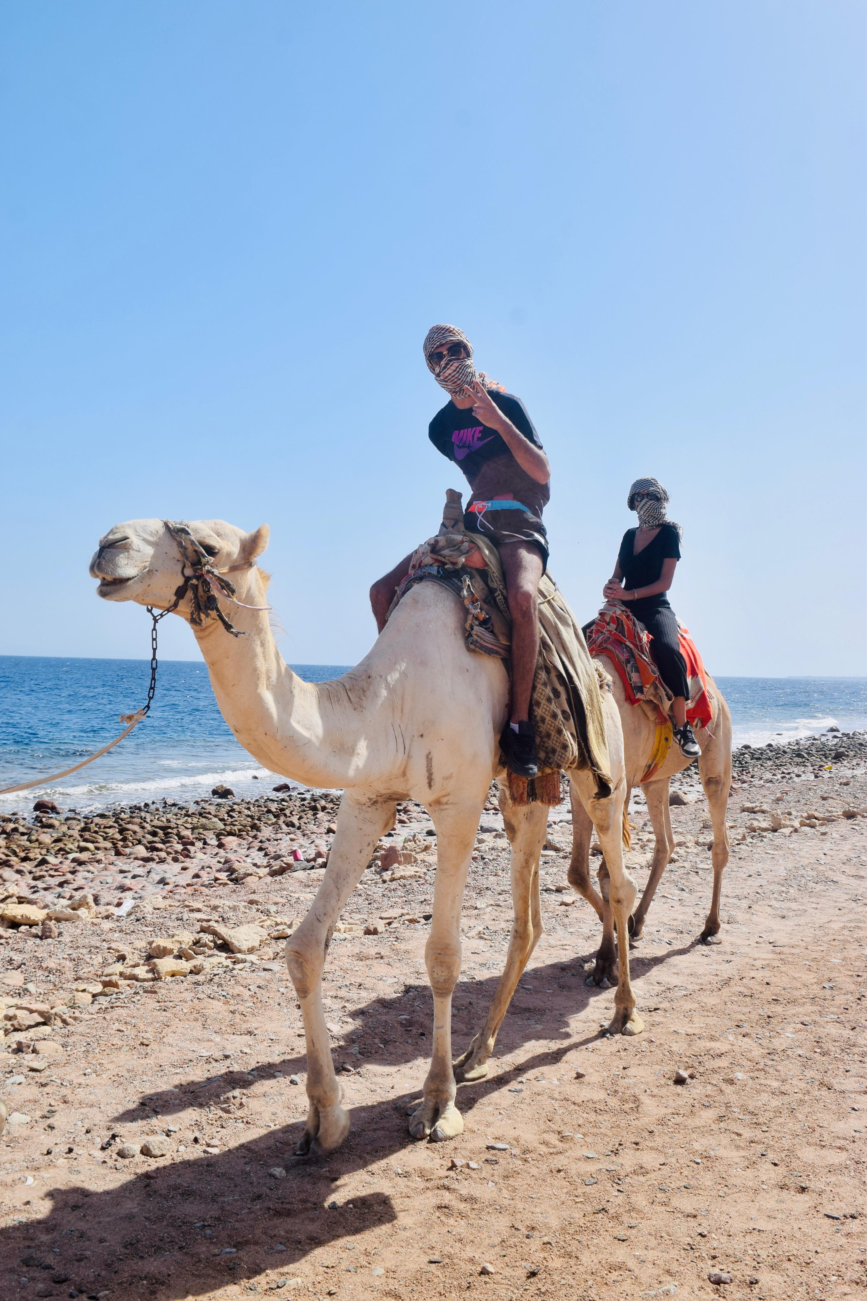 صورة الرحلة