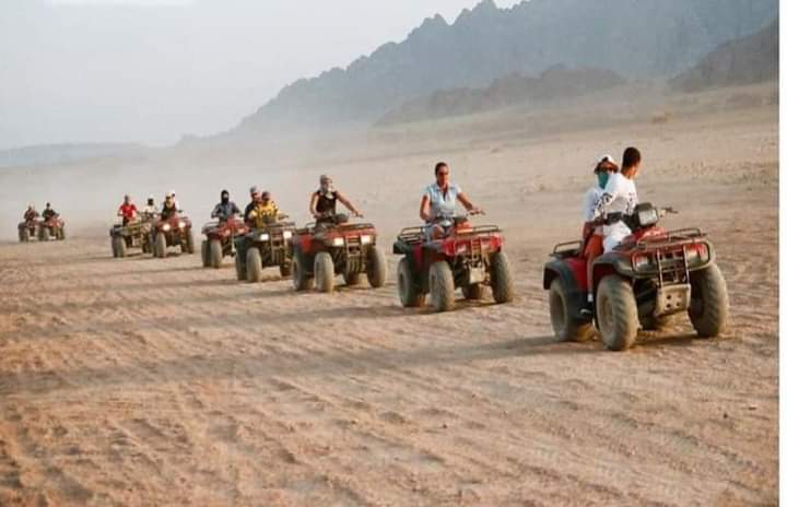 صورة الرحلة