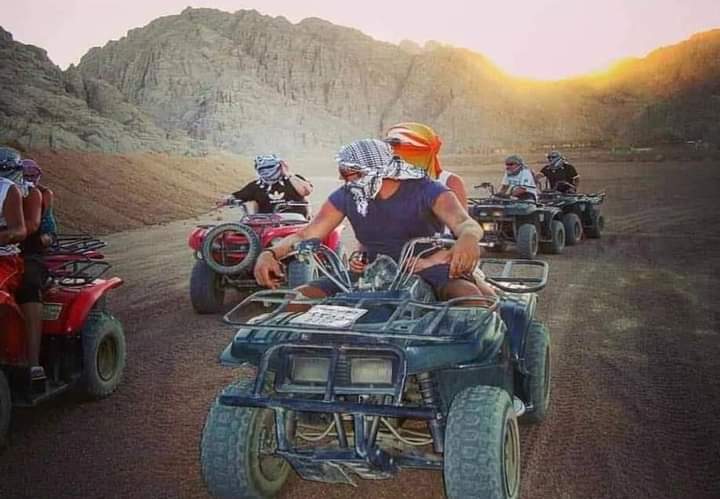 صورة الرحلة