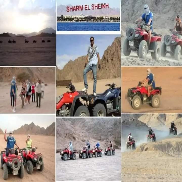 صورة الرحلة