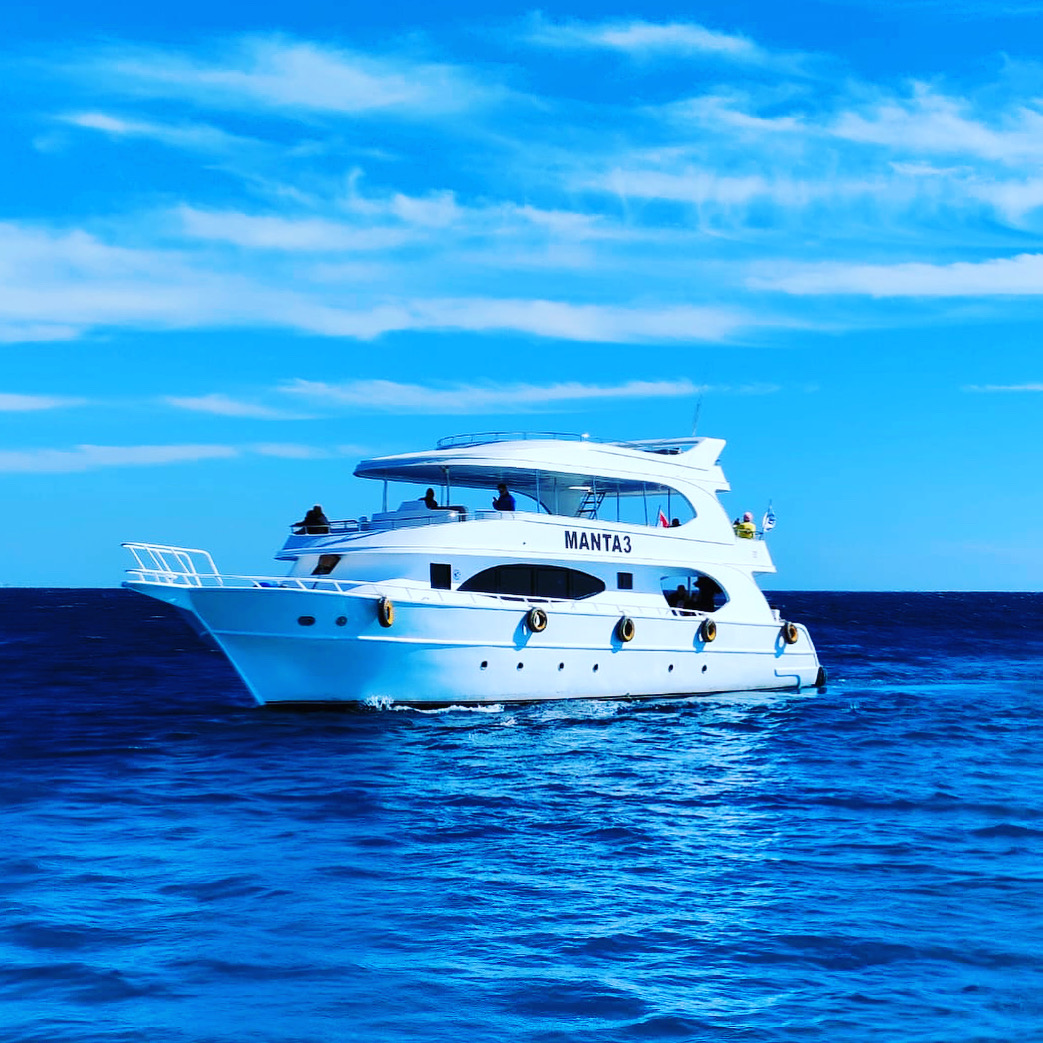 صورة الرحلة