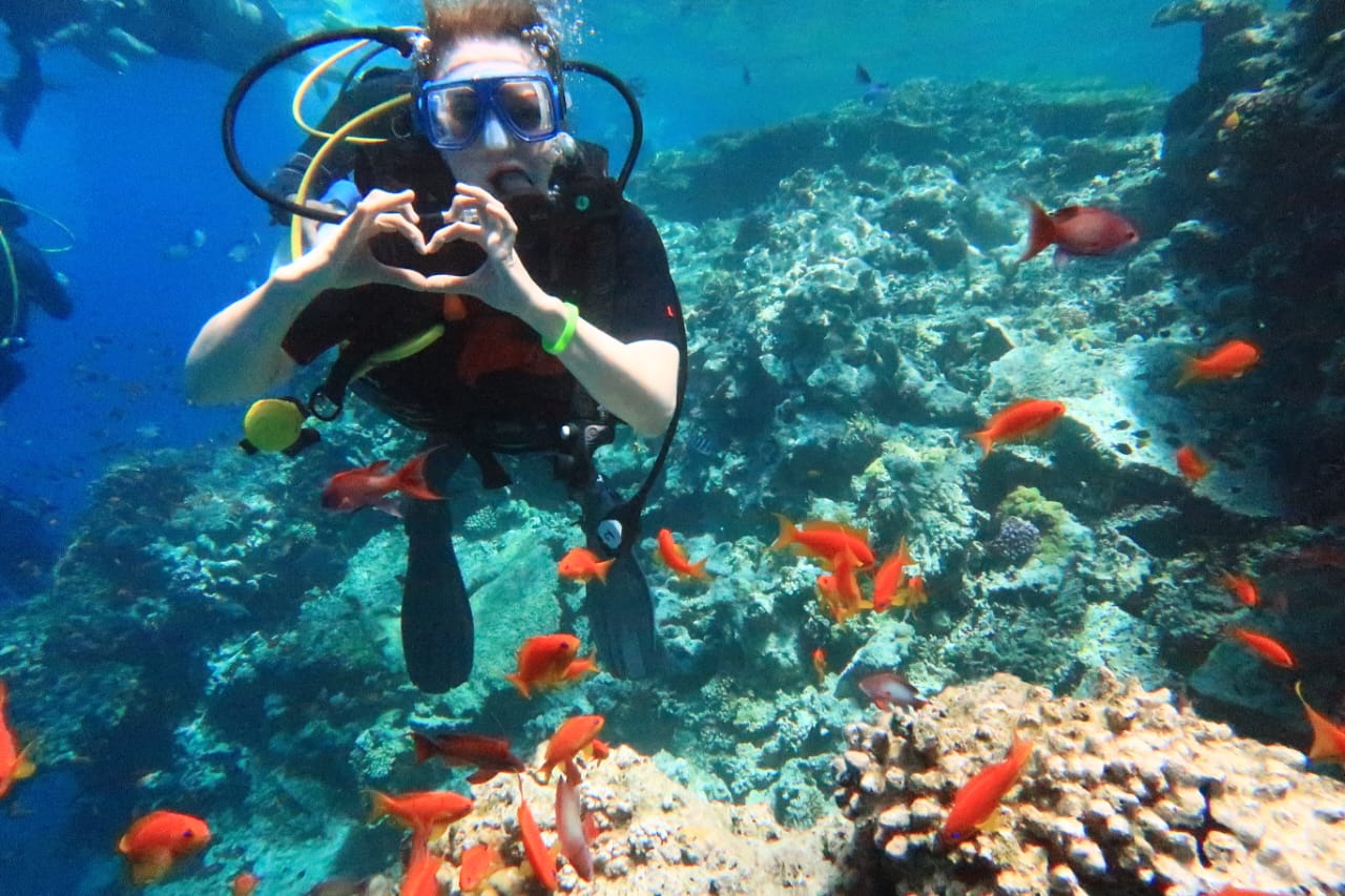 صورة الرحلة