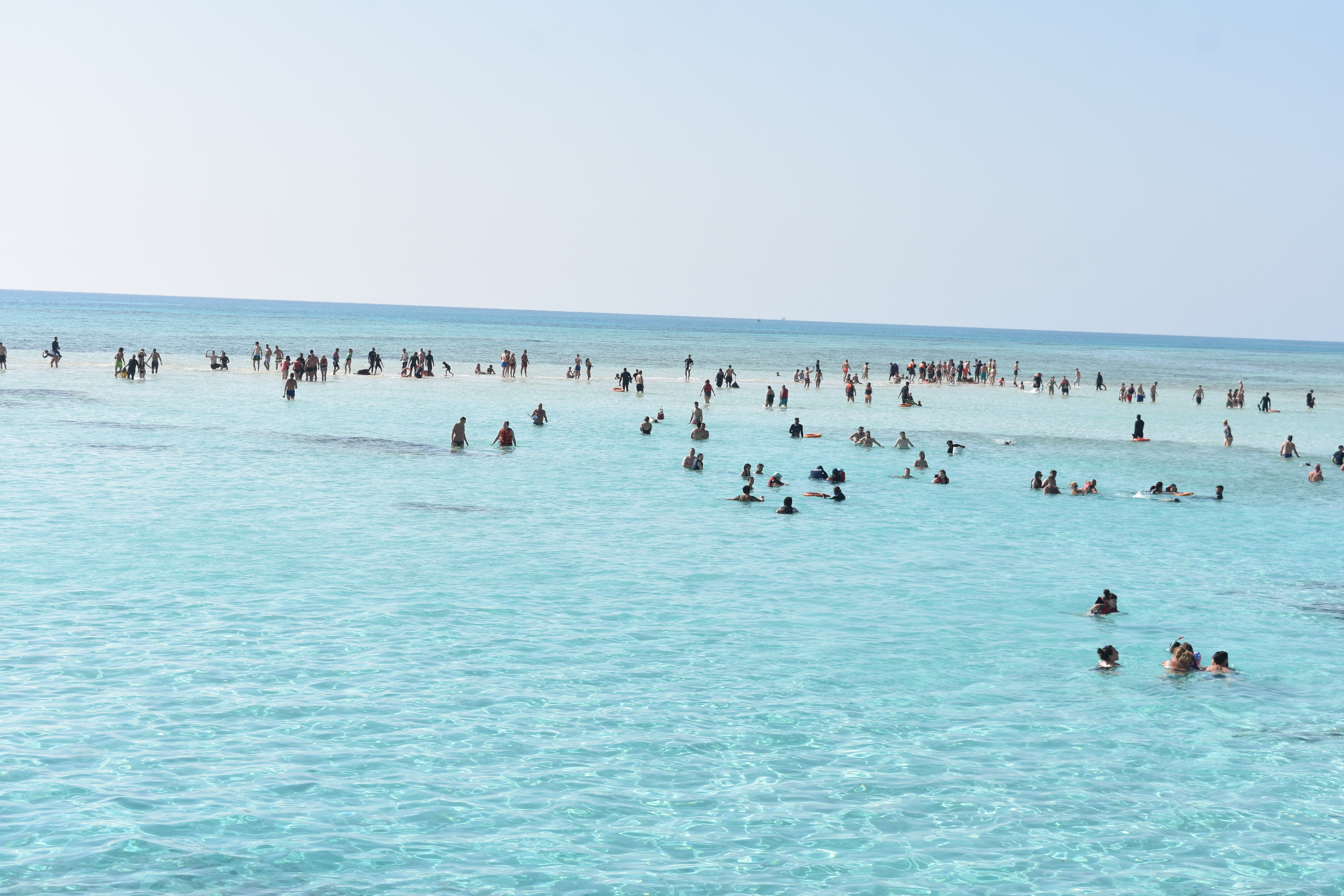 صورة الرحلة