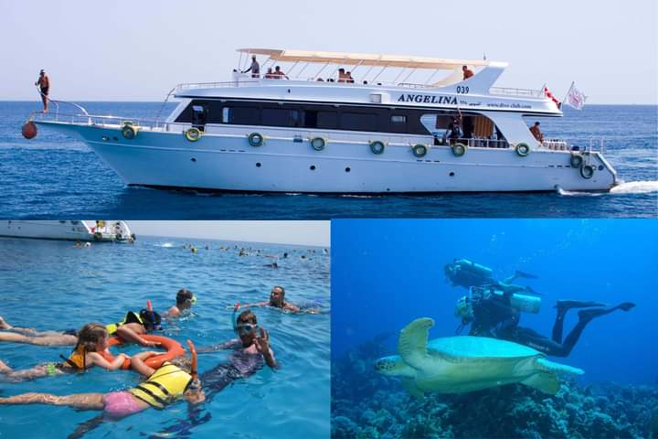 صورة الرحلة