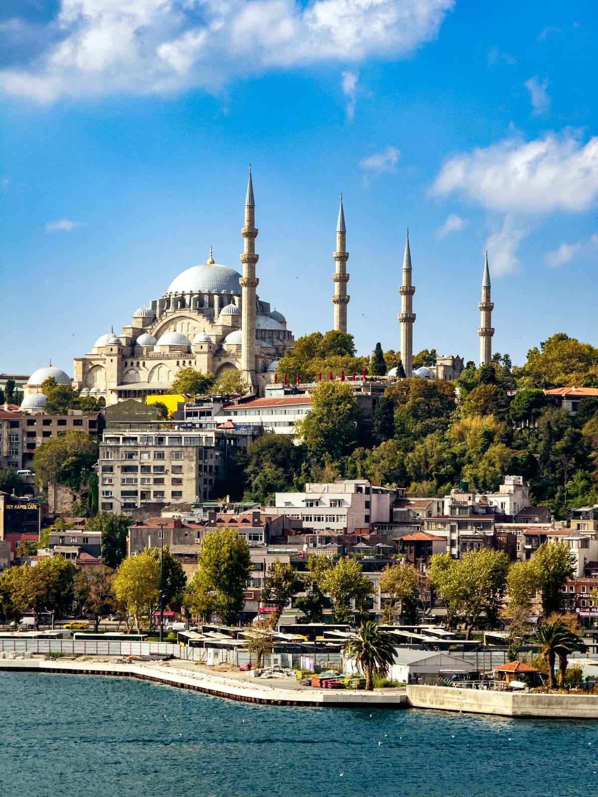 صورة الرحلة