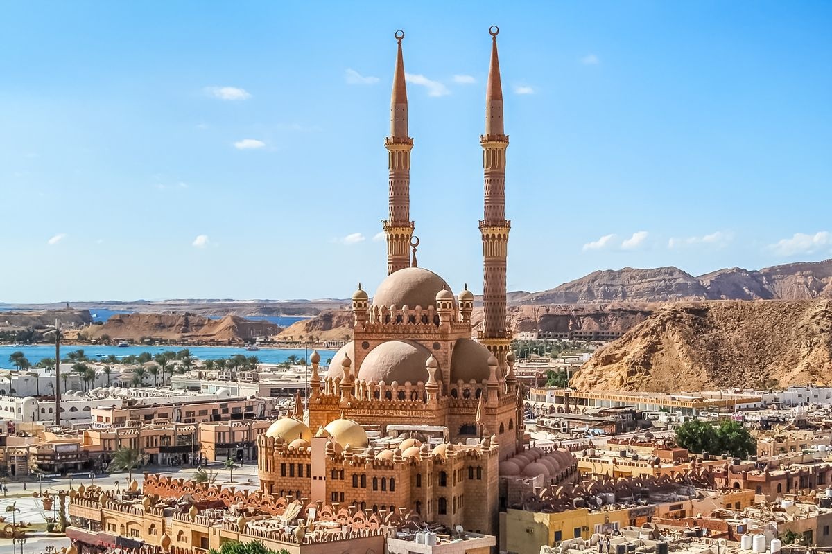 صورة الرحلة