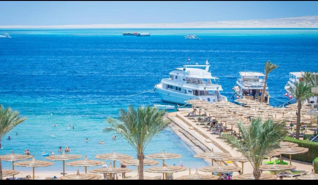 صورة الرحلة