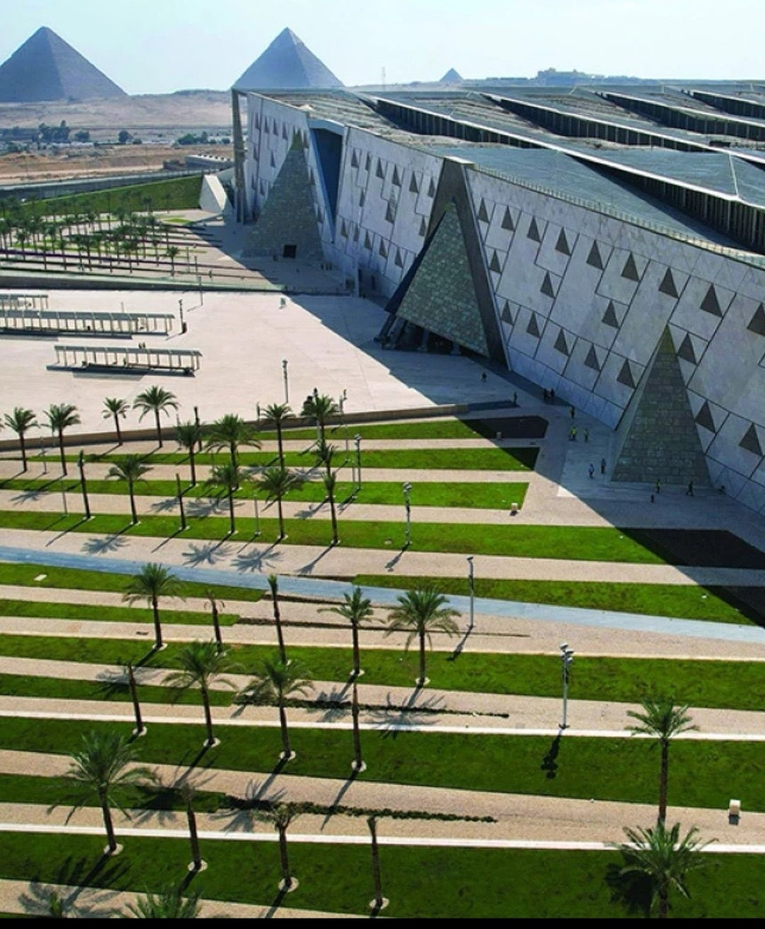 صورة الرحلة