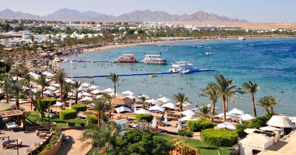 صورة الرحلة