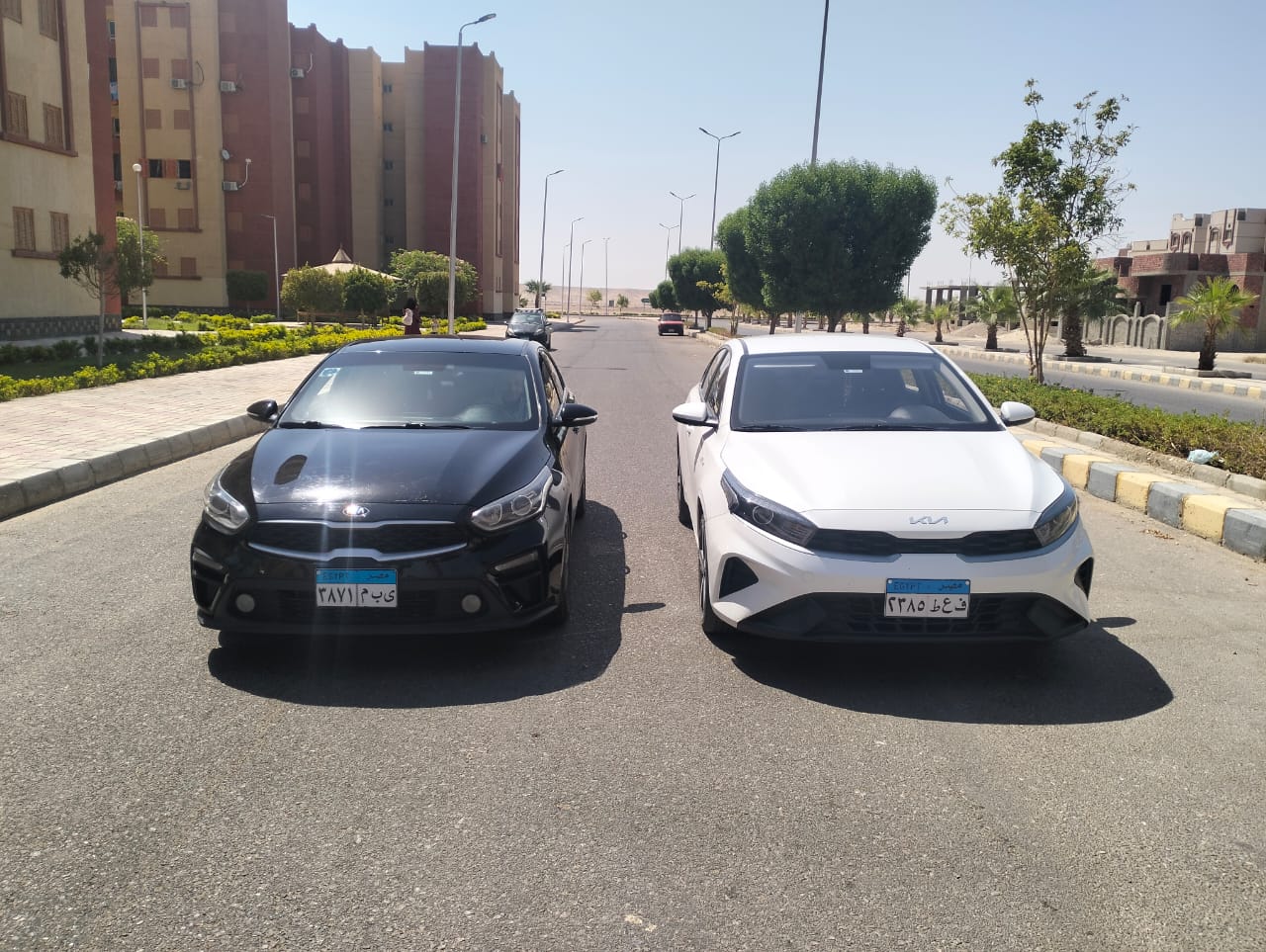 صورة الرحلة
