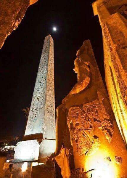 صورة الرحلة
