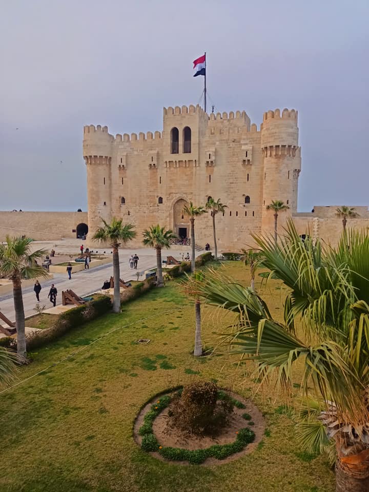 صورة الرحلة