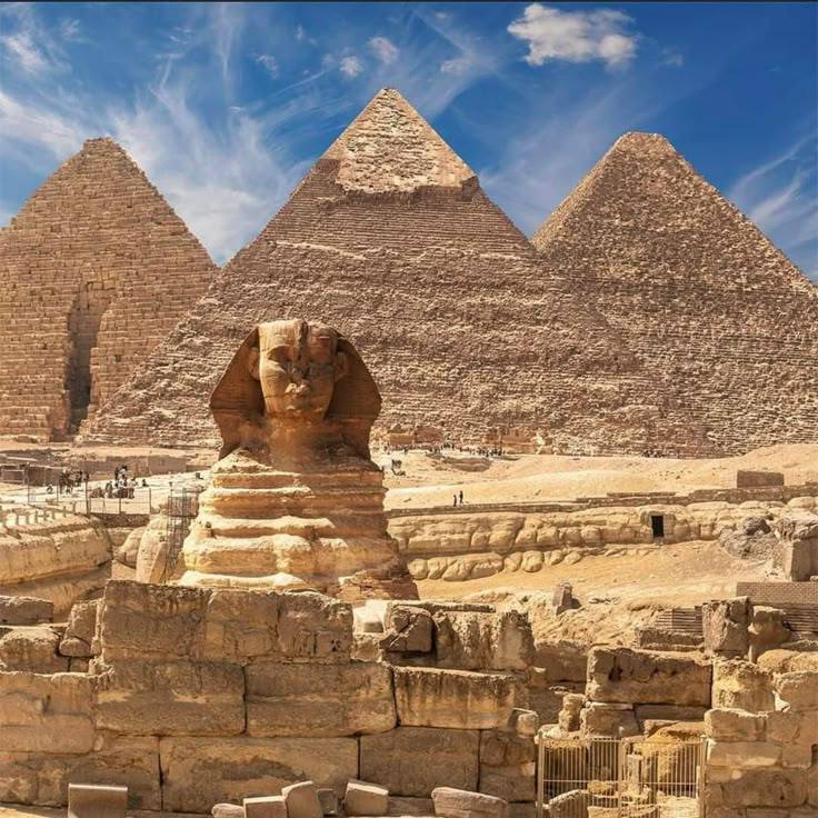 صورة الرحلة