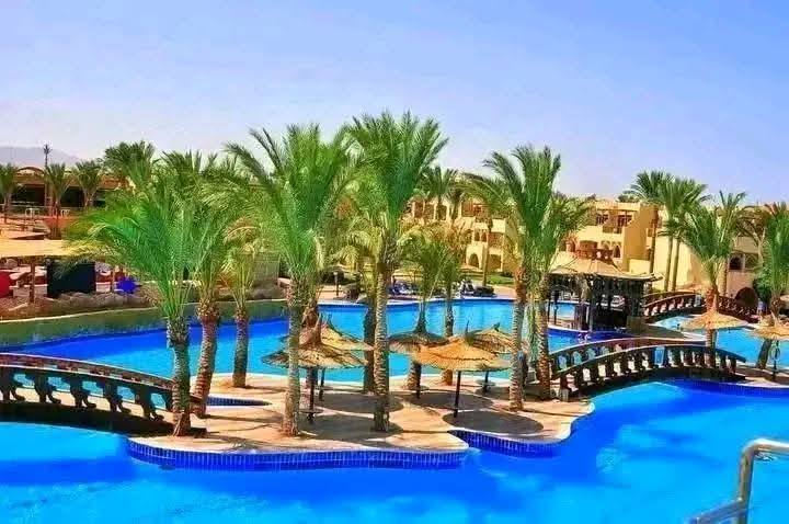 صورة الرحلة