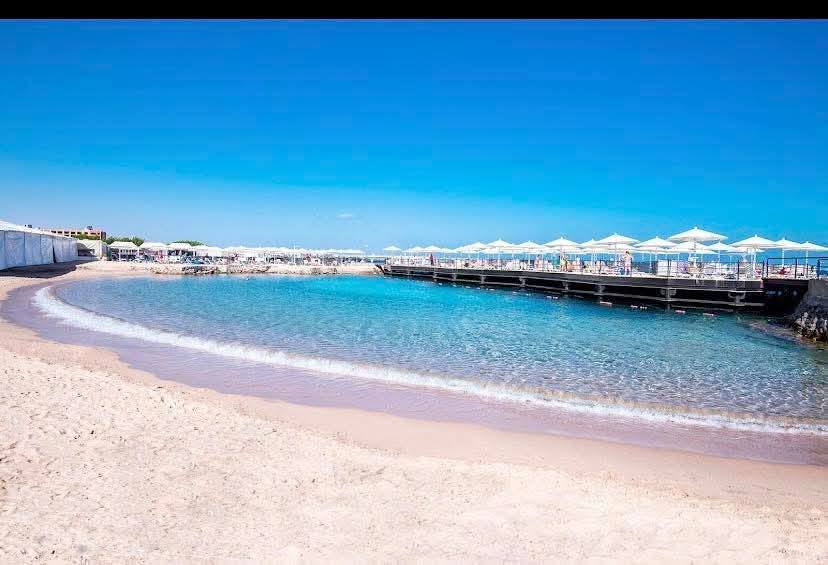 صورة الرحلة