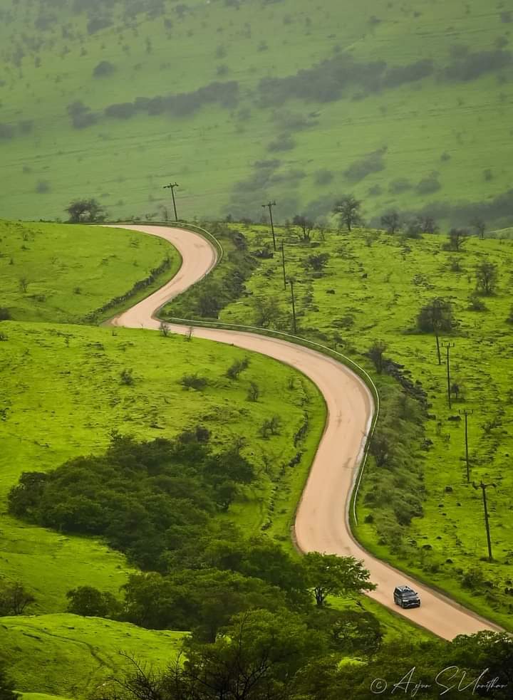 صورة الرحلة