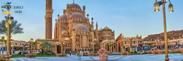 صورة الرحلة